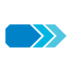 netconomy logo
