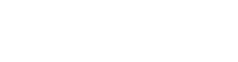 Pyka logo