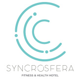 SyncroSfera logo