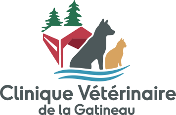 vetcare logo