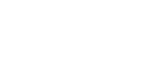 Newcastle Building Society logo