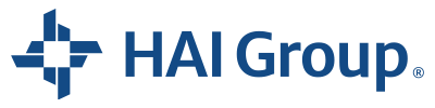 haigroup logo