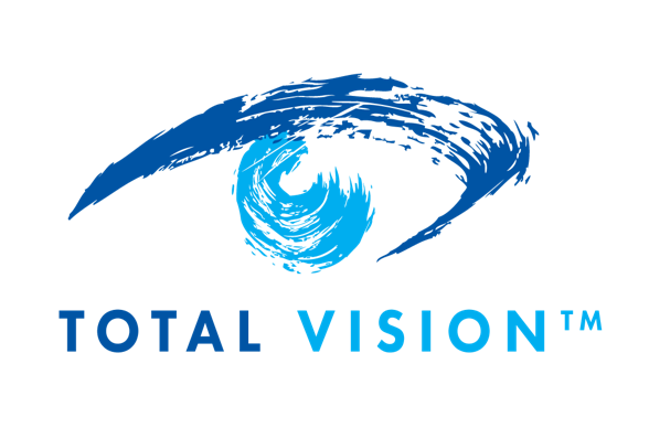 VISION LLC logo