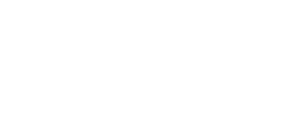 Somerset Cricket logo