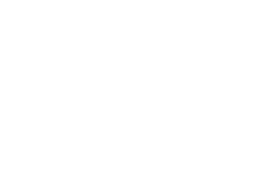 Amli logo