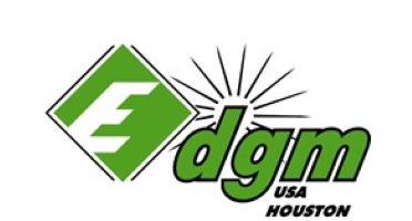 DGM SERVICES INC logo