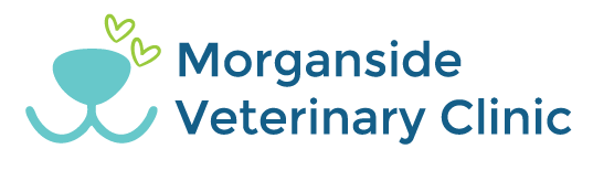 Morganside Veterinary Clinic logo