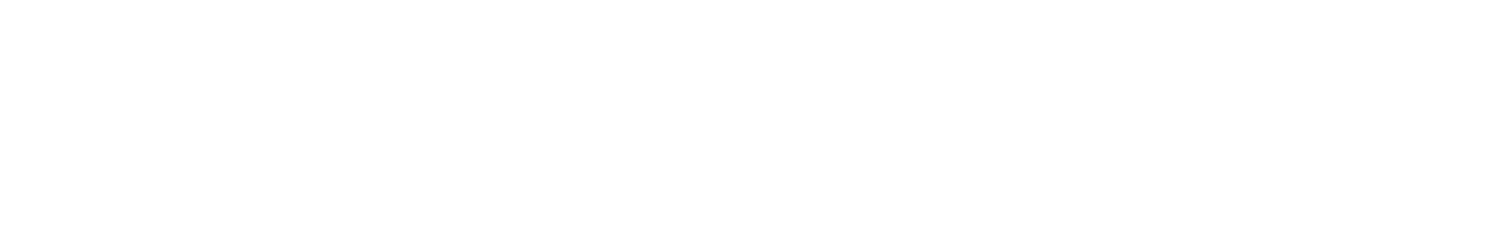bdrthermea logo