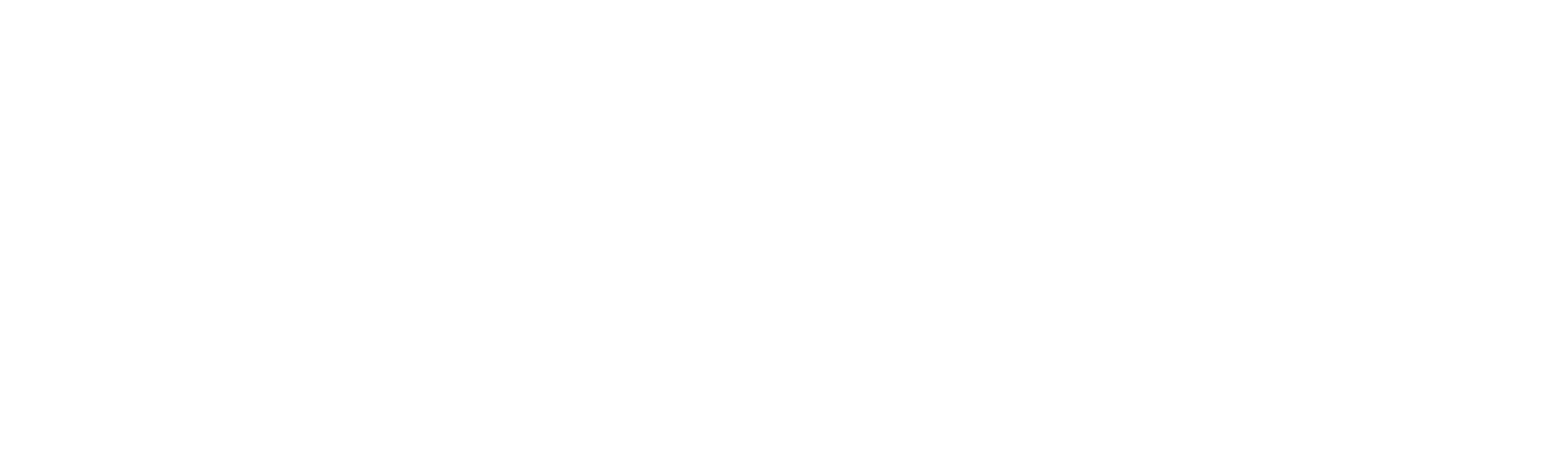 Champion & Nash HVAC logo